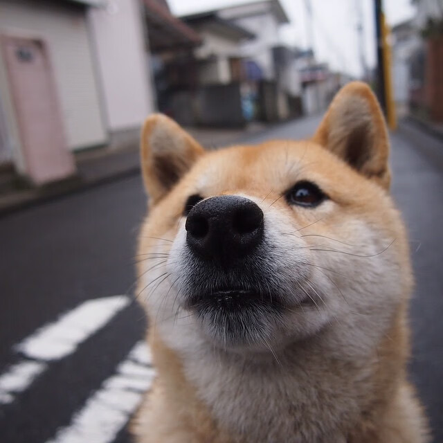 开云体育APP下载-“中超联赛即将开启，豪门迎来新一轮战略布局”，中超豪门球队