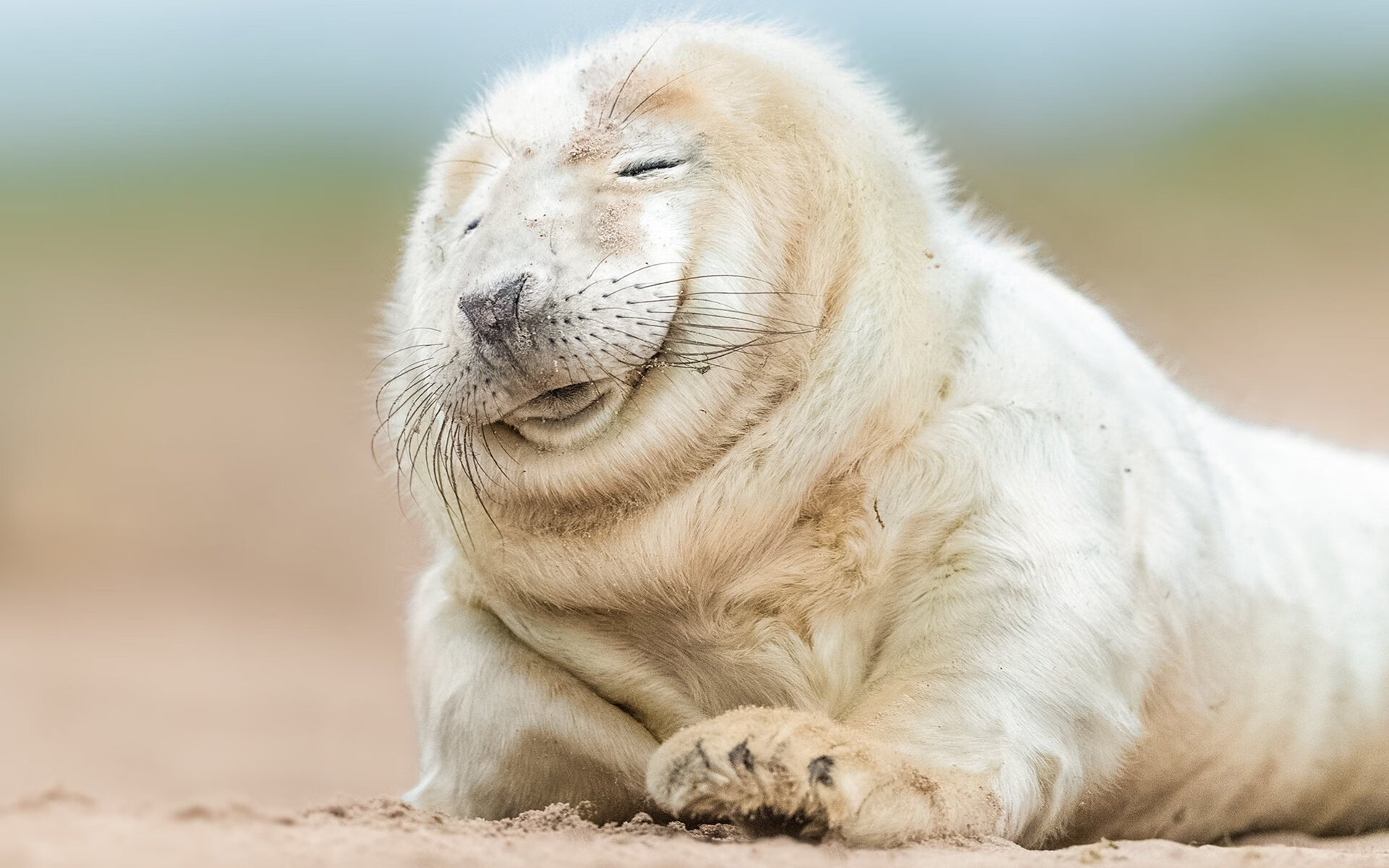 开云 官网 入口-“追梦青春”青少年篮球公益跑在郑州精彩落幕，caau全国青少年业余篮球联赛2021郑州